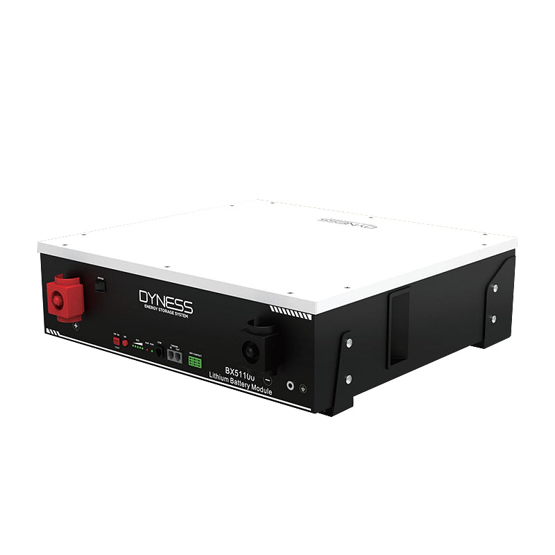 Batterie Dyness BX51100 (LiFePo4 51.2V 100Ah 5.12 kWh)