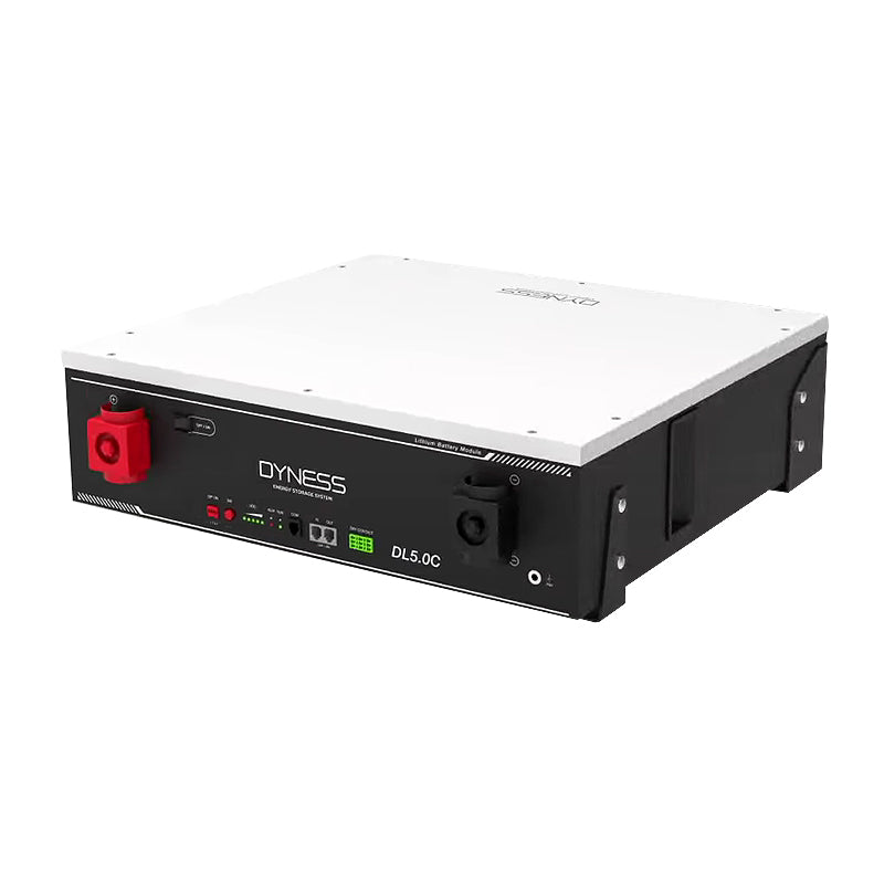Batterie Dyness DL5.0C (LiFePo4 51.2V 100Ah 5.12 kWh)