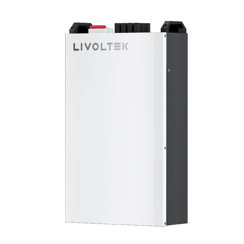 Batterie Livoltek BLF-B51100 (LiFePo4 51.2V 100Ah 5.12 kWh)