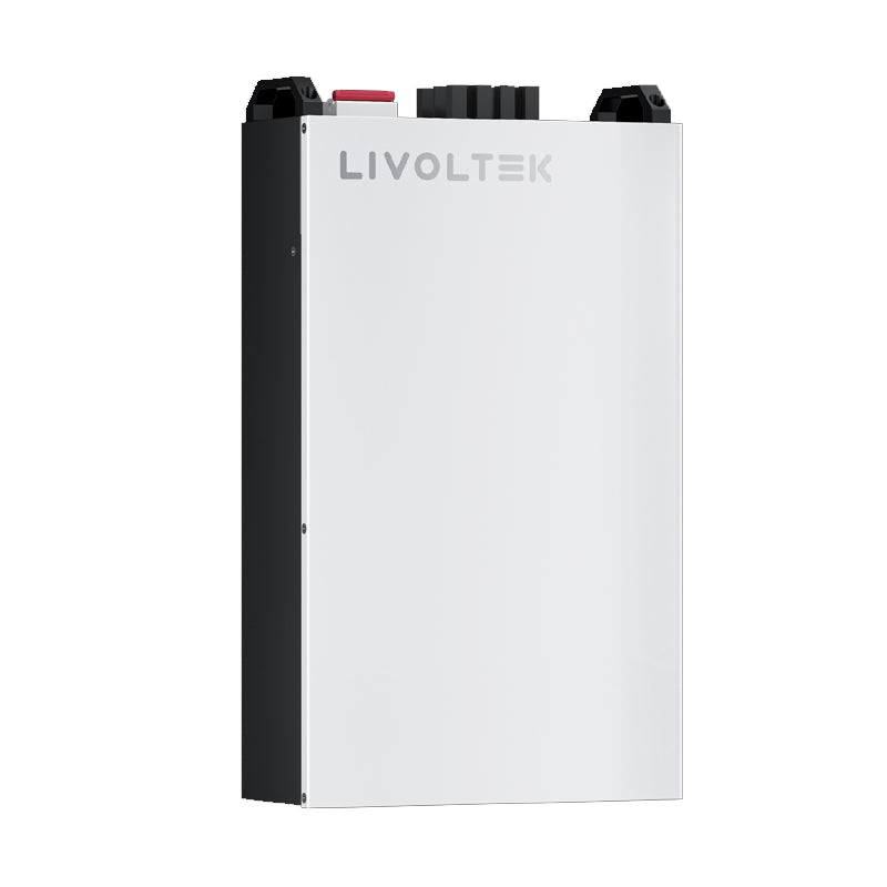 Batterie Livoltek BLF-B51150 (LiFePo4 51.2V 150Ah 7.68 kWh)