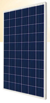 ErEne Green Technologies GmbH - Solarmodul - CSI Solar
                                                        CS6K- 285-305P 300P - Art. 150952