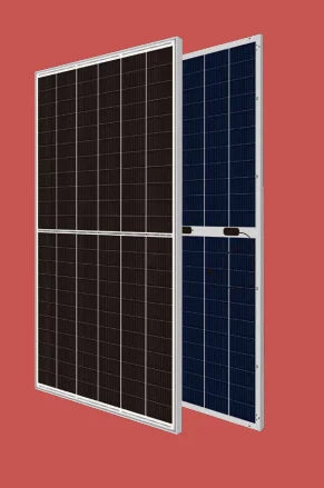 Consort Solar Co., Ltd. - Solarmodul - CST-M12/66GDF 645-660W CST-M12/66GDF 655 - Art. 186366