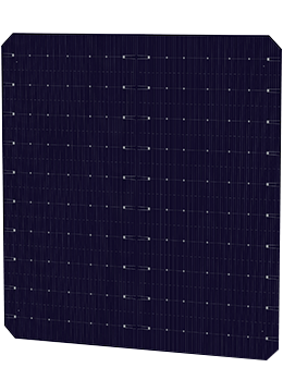 DAS Solar Co., Ltd. - Zellen - DAS-PM10D10B 7,66 - Art. 27997