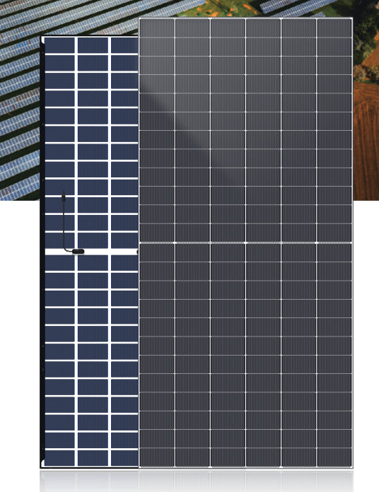 DAH Solar Co., Ltd. - Solarmodul - DHN-72R20-DG(BW)-610~625W DHN-72R20-DG(BW)-625 - Art. 238944