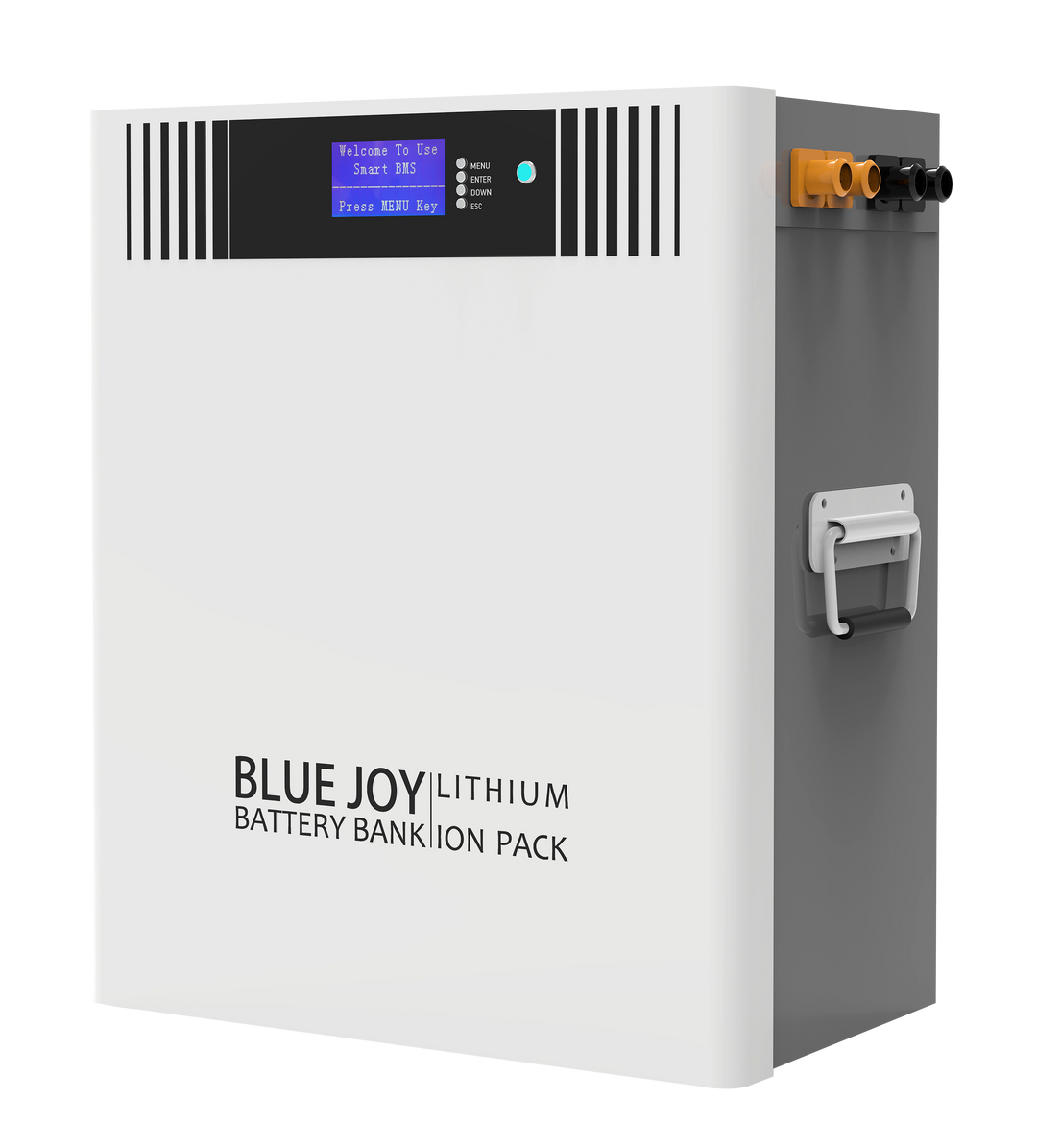Qingdao Blue Joy Technology Co., Ltd. - Speicher - DJ48-100 DJ48-100 - Art. 30027