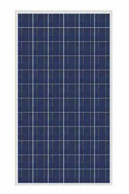 DJ Solar Co., Ltd. - Solarmodul - DJS-T290-300P672PT DJS-T300P672PT - Art. 37043