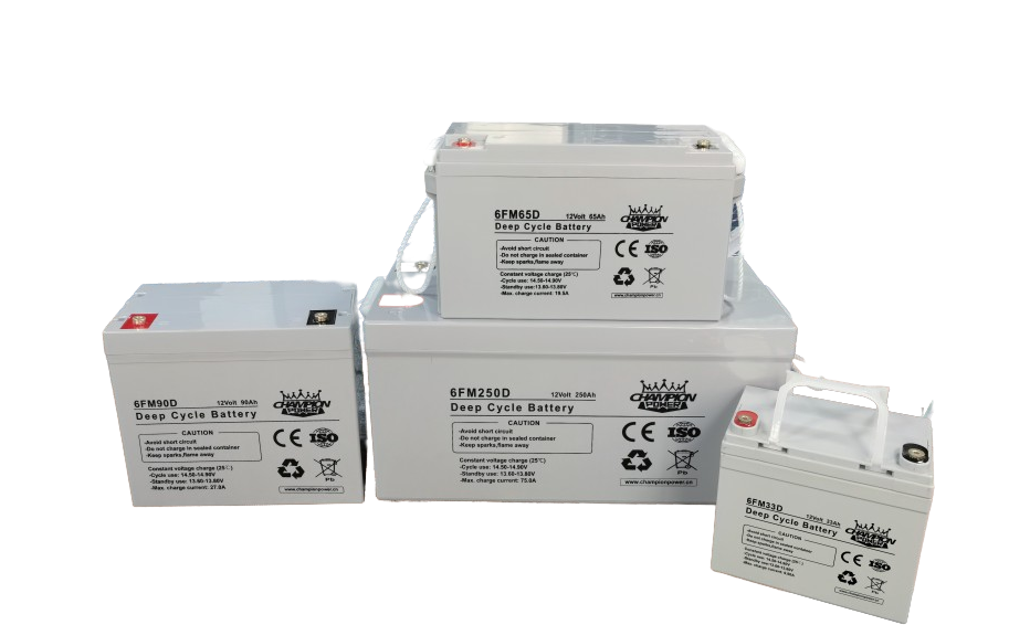 Champion Power Tech Co., Ltd. - Speicher - Deep Cycle Battery 6FM160D - Art. 24476