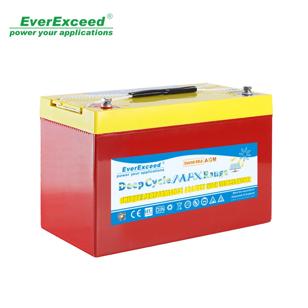Shenzhen EverExceed Industrial Co., Ltd. - Speicher - Deep Cycle Max Range VRLA DM-12230 - Art. 24671