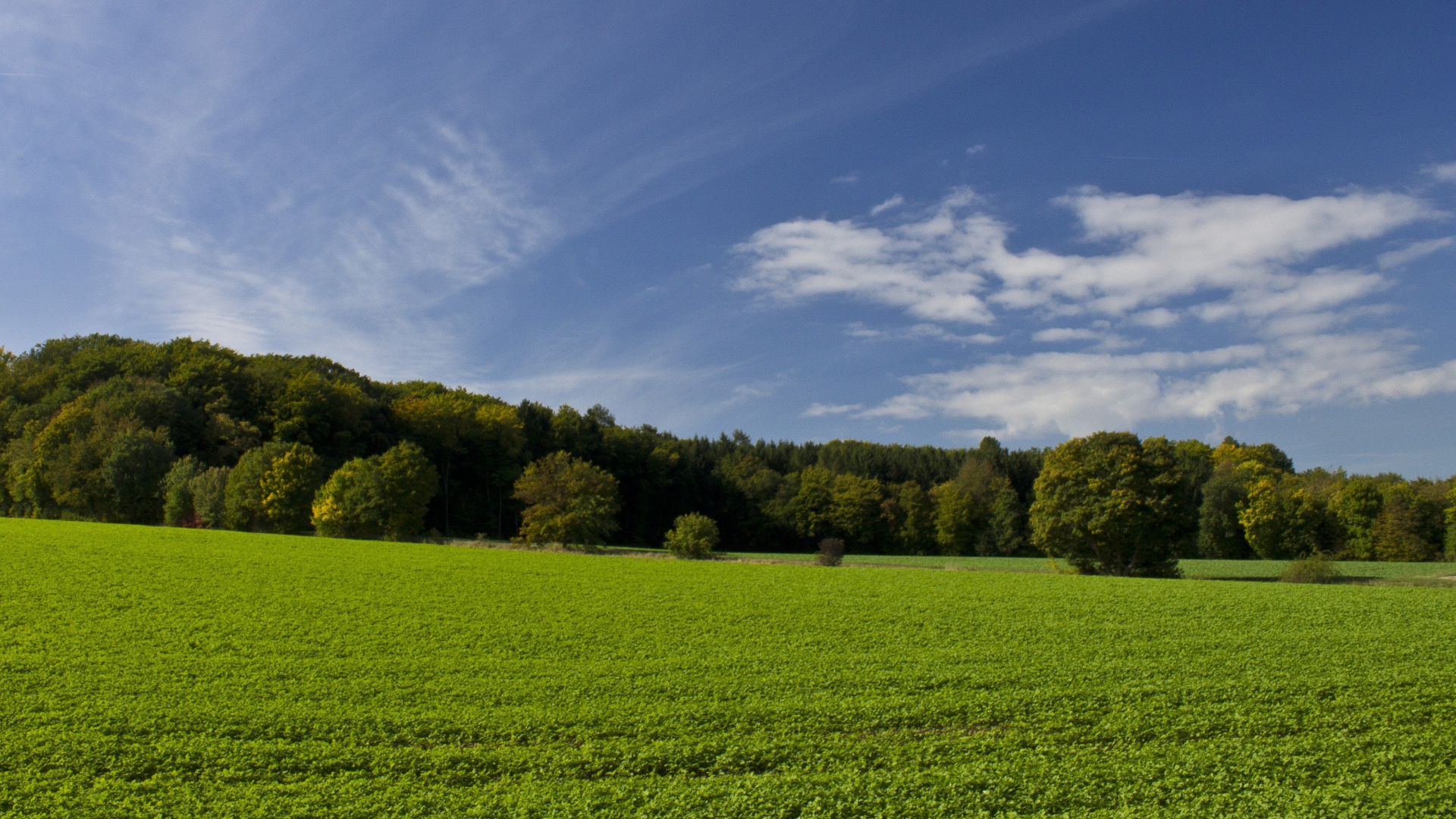 Freiflächen-Solaranlagen spielen eine wichtige Rolle bei der Förderung der erneuerbaren Energien und der Reduzierung der Treibhausgasemissionen. Sie sind ein wesentlicher Bestandteil der Bemühungen zur Bekämpfung des Klimawandels und zur Umstellung auf saubere Energiequellen.