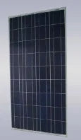 EL Rongchang Group Co., Ltd. - Solarmodul - ERG-100P ERG-100P - Art. 120990