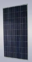 EL Rongchang Group Co., Ltd. - Solarmodul - ERG-150P ERG-150P - Art. 120992