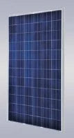 EL Rongchang Group Co., Ltd. - Solarmodul - ERG-310P ERG-310P - Art. 120994