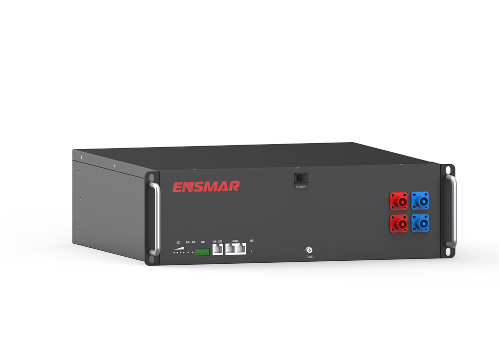 Shenzhen Ensmar Technology Co., Ltd. - Speicher - ES R-Series ES R-4850 - Art. 25357