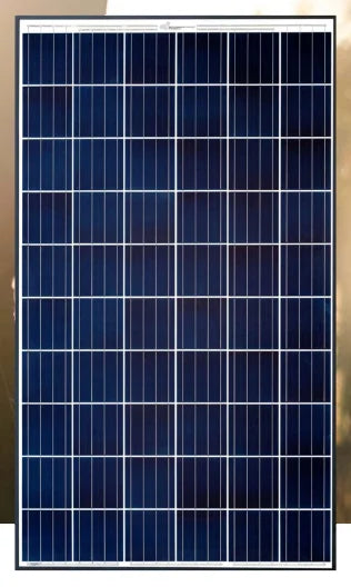 CS Wismar GmbH Sonnenstromfabrik - Solarmodul - Excellent  270-280 P60 LOW CARBON 275 - Art. 170964
