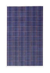 Further Power Co., Ltd - Solarmodul - FDS-160P-24 FDS-160P-24 - Art. 180958