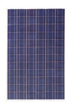 Further Power Co., Ltd - Solarmodul - FDS-180P-24 FDS-180P-24 - Art. 180959