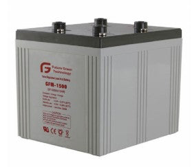 Future Green Technology Co., Ltd. - Speicher - FG-2V2000AH FG-2V2000AH - Art. 15866