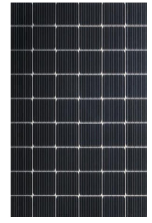 Shandong Fhisolar Energy Co.,Ltd - Solarmodul - FH365-390M6-60H 365 - Art. 181404