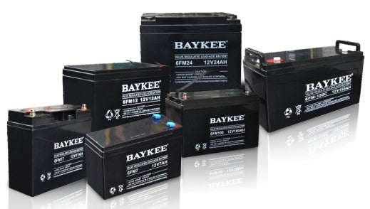 Aerospace Baykee (Guangdong) Technology Co., Ltd. - Speicher - FM Series 6FM200E-X - Art. 11159