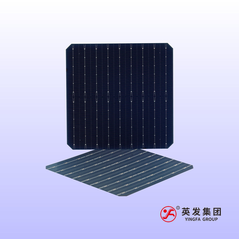 Anhui Yingfa Ruineng Technology Co., Ltd. - Zellen - F M6 9BB PERC A2260 - Art. 25955