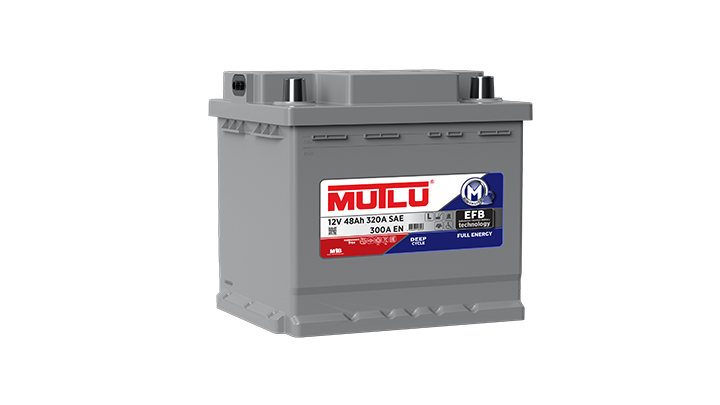 Mutlu Akü ve Malz. San. A.Ş - Speicher - Full Energy Batteries FD5,165,095,A - Art. 25793