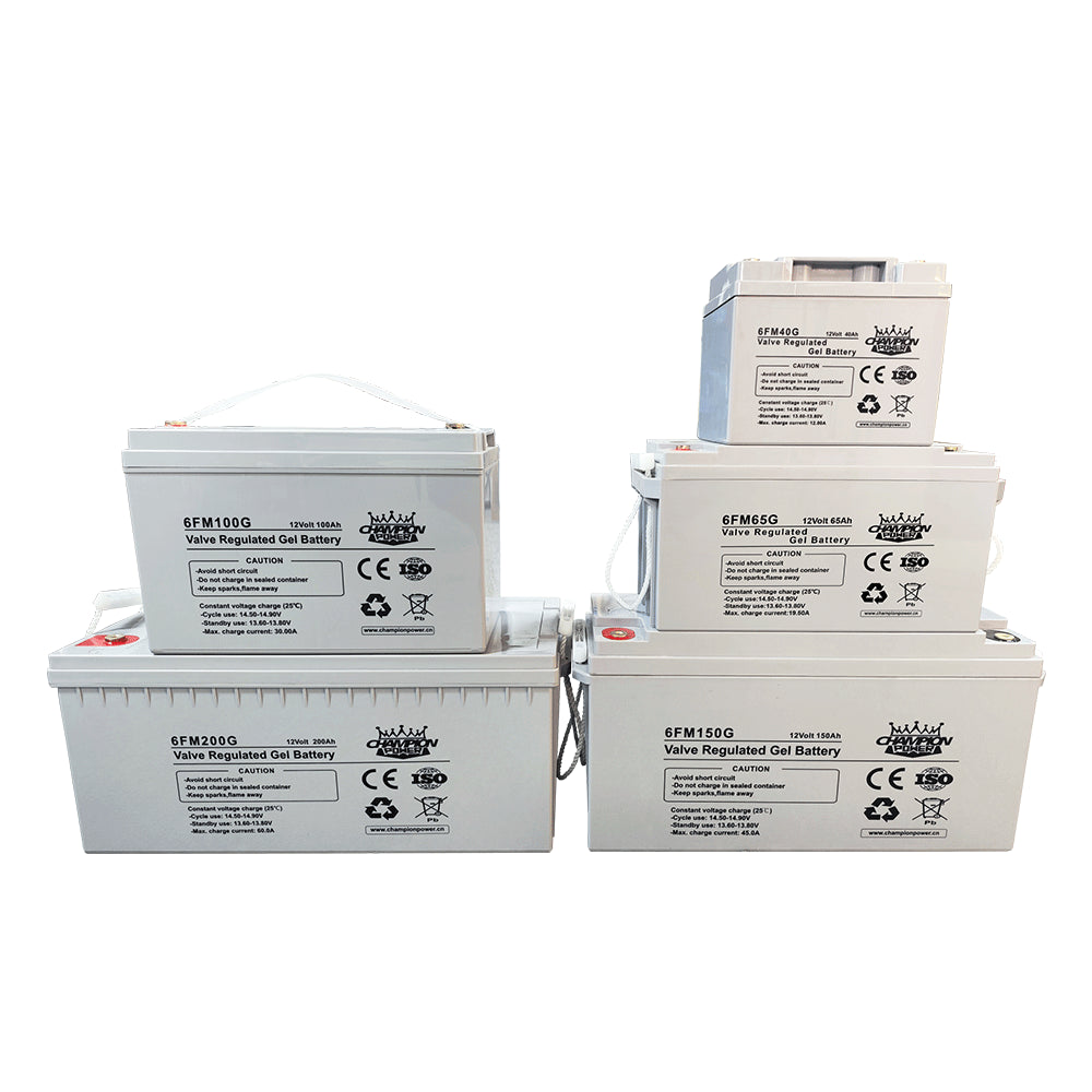 Champion Power Tech Co., Ltd. - Speicher - Gel Battery 6FM65G - Art. 24489
