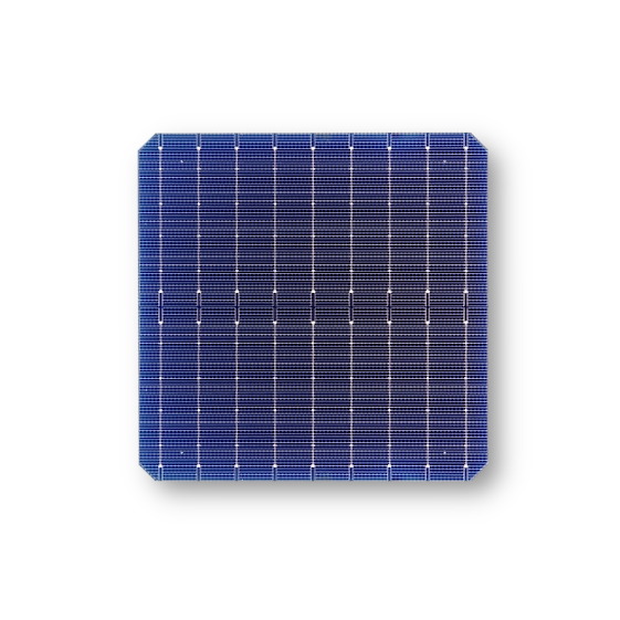 Just Solar Group Limited - Zellen - JST Mono 9BB 166 22,2 - Art. 23481