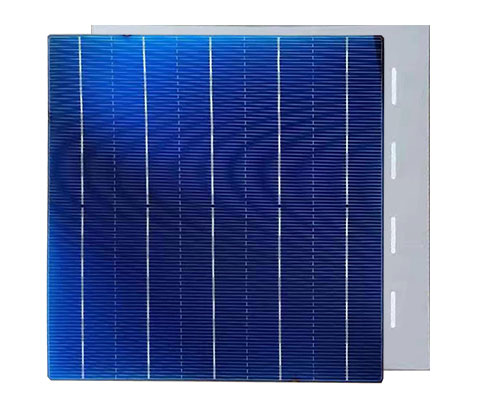 Linking Solar Co., Limited. - Zellen - LKS-157-5BB-POLY A1890 - Art. 27877