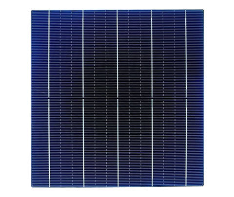 Linking Solar Co., Limited. - Zellen - LKS-158.75MM-5BB 5,657 - Art. 27858