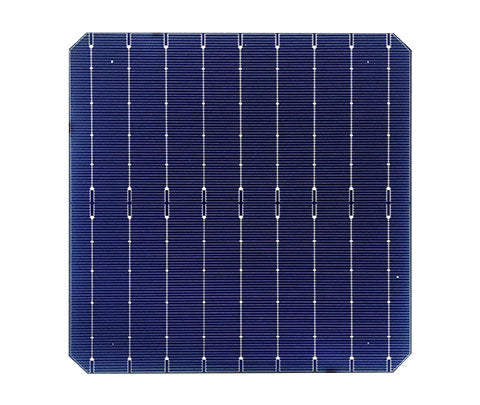 Linking Solar Co., Limited. - Zellen - LKS-M6-9BB Mono Perc Bificial 6,31 - Art. 27848