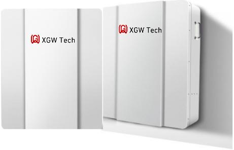 XGW Digital Technology(Shenzhen)co.,Ltd - Speicher - LP4805/4810 LP4805 - Art. 28094