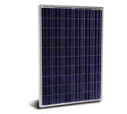 Linking Solar Co., Limited. - Solarmodul - LSP660 240-260 LSP660-255 - Art. 105907