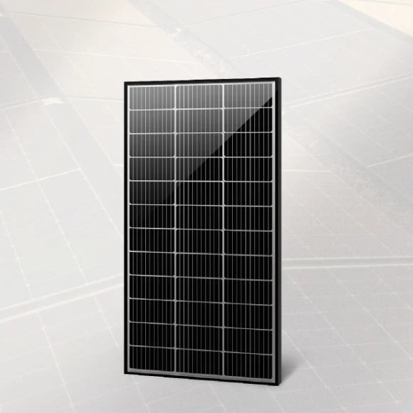 LS Solar Energy Sole Co., Ltd. - Solarmodul - LS 100W 100 - Art. 232819