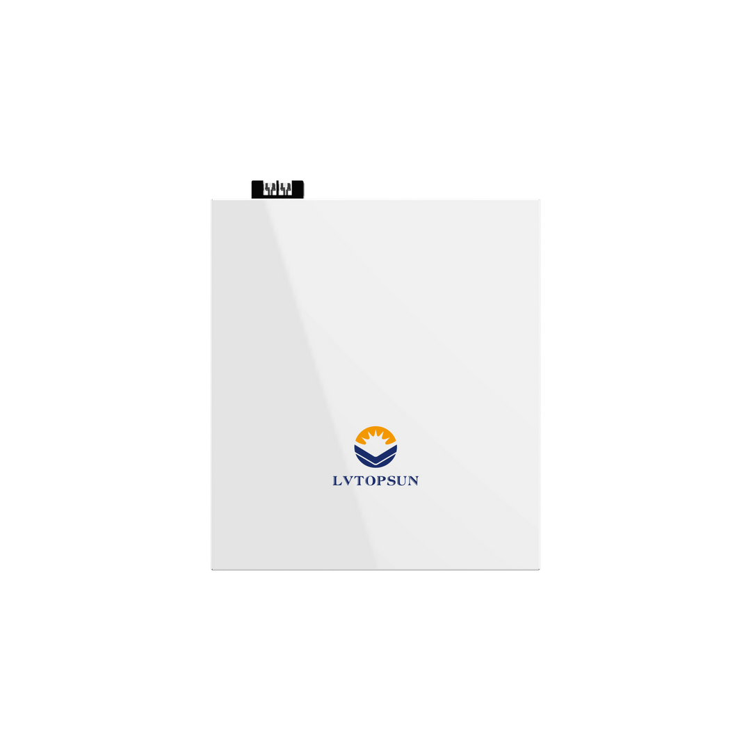 LVTopSun Solar Technology Co., Ltd. - Speicher - LV48100 LV48100 - Art. 34648