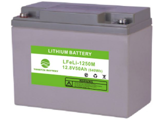 Yangtze Solar Power Co., Ltd. - Speicher - Lithium Battery 12V 100Ah - Art. 13314