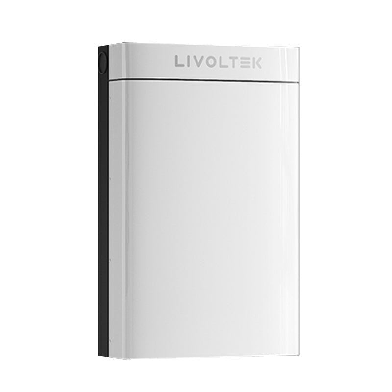 Batterie Livoltek BLF51-5 (LiFePo4 51.2V 100Ah 5.12 kWh)