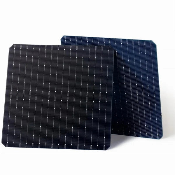 Flagsun Green Power Co., Ltd. - Zellen - M10 Mono-16BB 2 - Art. 29570