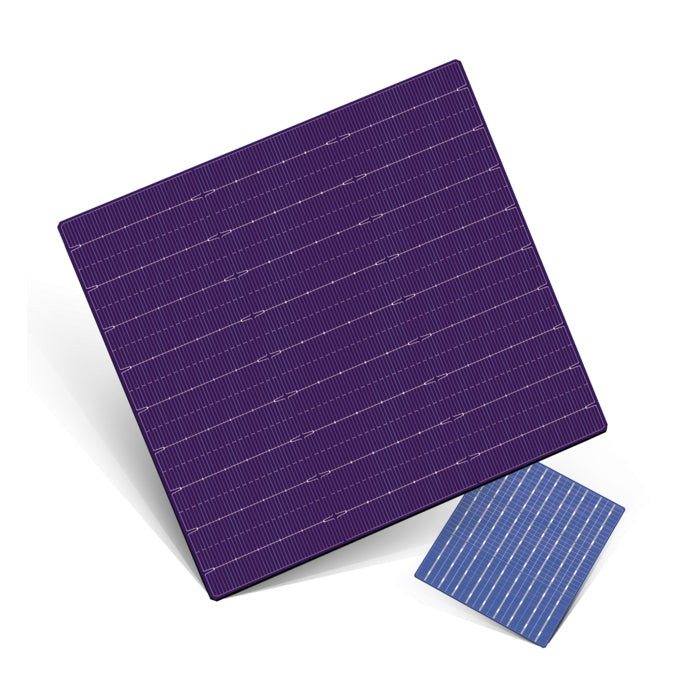 Topsky Energy Co., Ltd - Zellen - M12  210MM bIfacial mono perc solar cells 210M-221 - Art. 25419