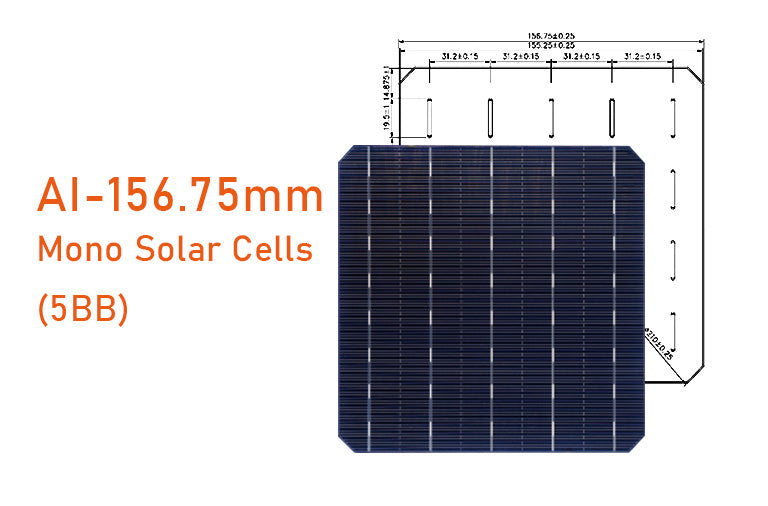 Changzhou Aoli Energy Technology Co., Ltd. - Zellen - M2 156.75MM5BB 5,47W - Art. 24630