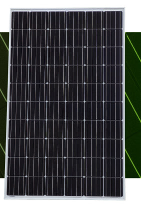 Cenergy Solar Co., Limited - Solarmodul - M60PCS-250-290 260 - Art. 171567