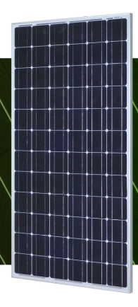 Cenergy Solar Co., Limited - Solarmodul - M72PCS-190-205 200 - Art. 171598