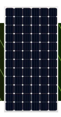 Cenergy Solar Co., Limited - Solarmodul - M72PCS-300-350 350 - Art. 171550