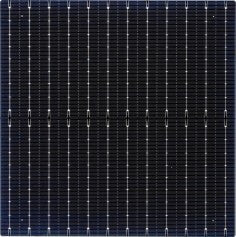 Tongwei Co., Ltd. (Tongwei Solar) - Zellen - Monocrystalline 210-12BBBifacial Solar Cell TW-210M-229 - Art. 27776