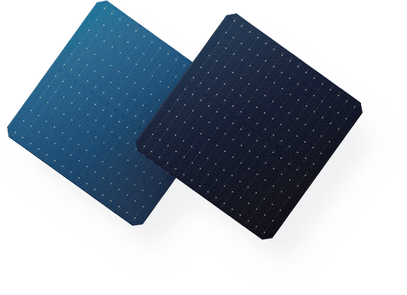 Wuxi Elite Solar Power Holding Pte. Ltd. - Zellen - N-type ET-N-182-16BB-Bifacial 8,5 - Art. 28896