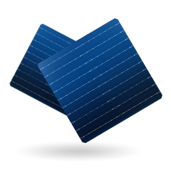Anhui Shijing Solar Power Technology Co., Ltd. - Zellen - N-type TOPCon 183.75-10BB 8,3 - Art. 28330