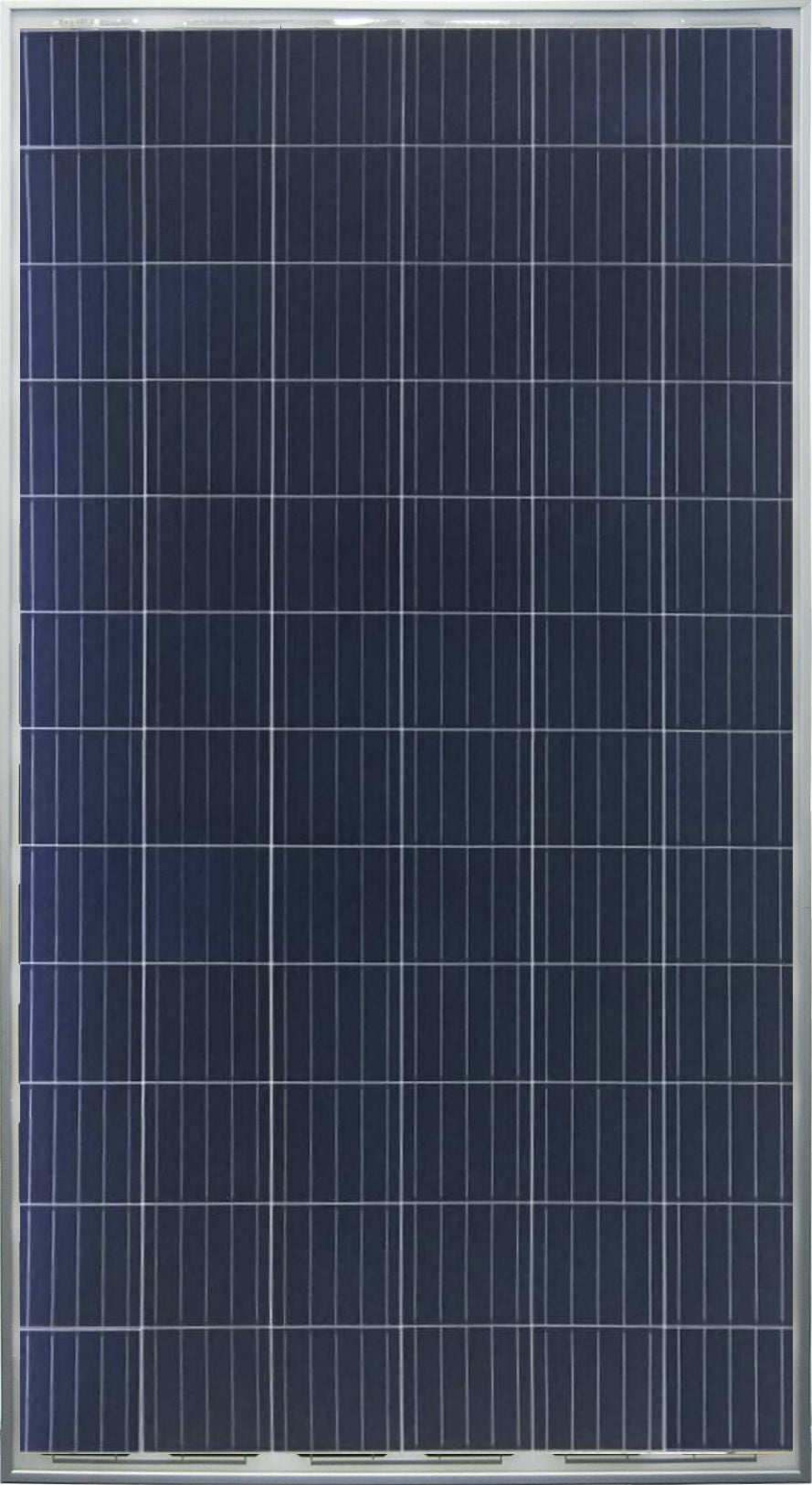Newsolar Energy Co., Ltd. - Solarmodul - N6P305W-320W N6P310W72P - Art. 100659