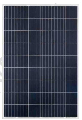 Ningbo Nesol Energy Co., Ltd. - Solarmodul - NE220-230-27P NE220-27P - Art. 155145