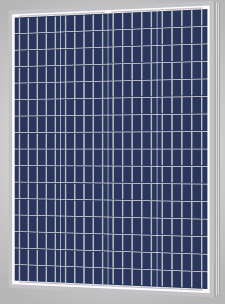 Newpowa America Inc. - Solarmodul - NPA100-12H NPA100-12H - Art. 181039