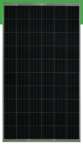 Olitec - Solarmodul - P30 245-265 OLI260 P30 - Art. 136049