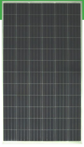 Olitec - Solarmodul - P35 295-315 OLI305 P35 - Art. 136043